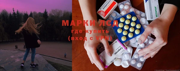 прущие грибы Балахна