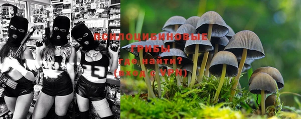прущая мука Аркадак