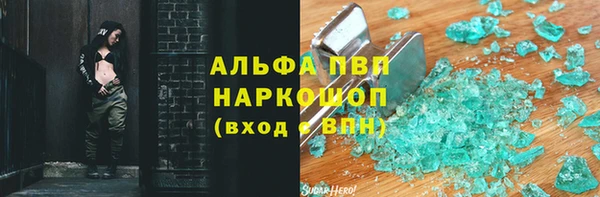 прущие грибы Балахна