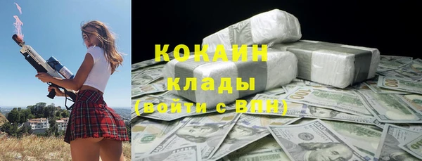 спайс Арсеньев