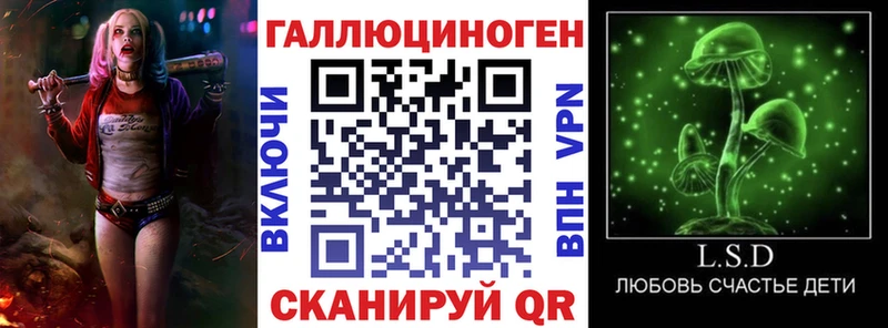 Псилоцибиновые грибы Psilocybe mega ссылка Сунжа купить наркотик
